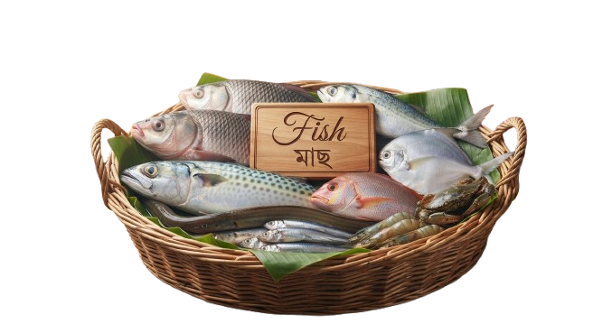 Fish