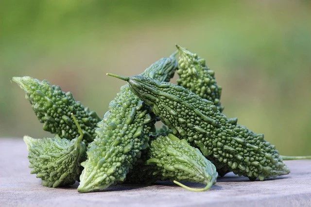 Bitter Gourds