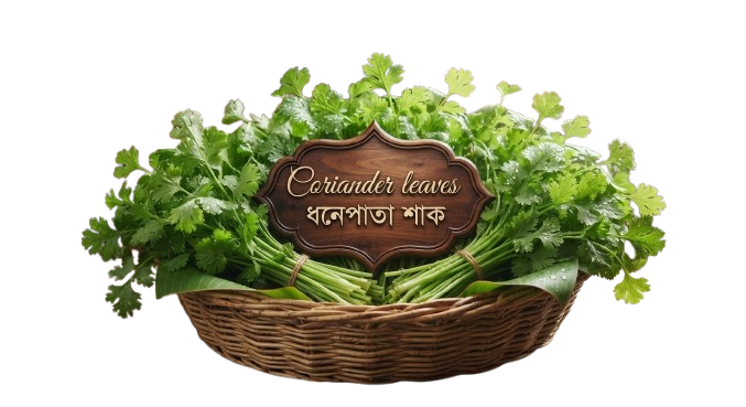 Coriander leaves ধনেপাতা শাক